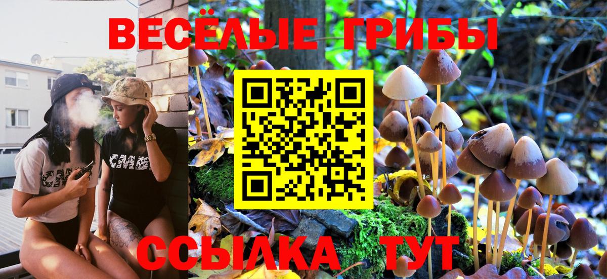 Галлюциногенные грибы Magic Shrooms  закладки  Вичуга  Вход с VPN  Псилоцибиновые грибы мицелий 